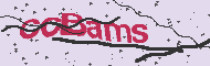 Code captcha