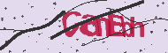 Code captcha