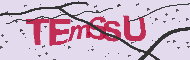Code captcha
