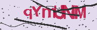 Code captcha